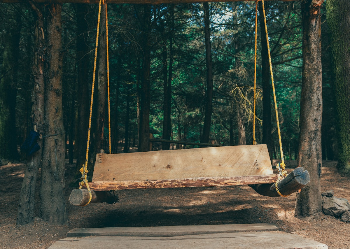 a wooden swing in the middle of a forest related to Building Your Dream Porch: A DIY Guide