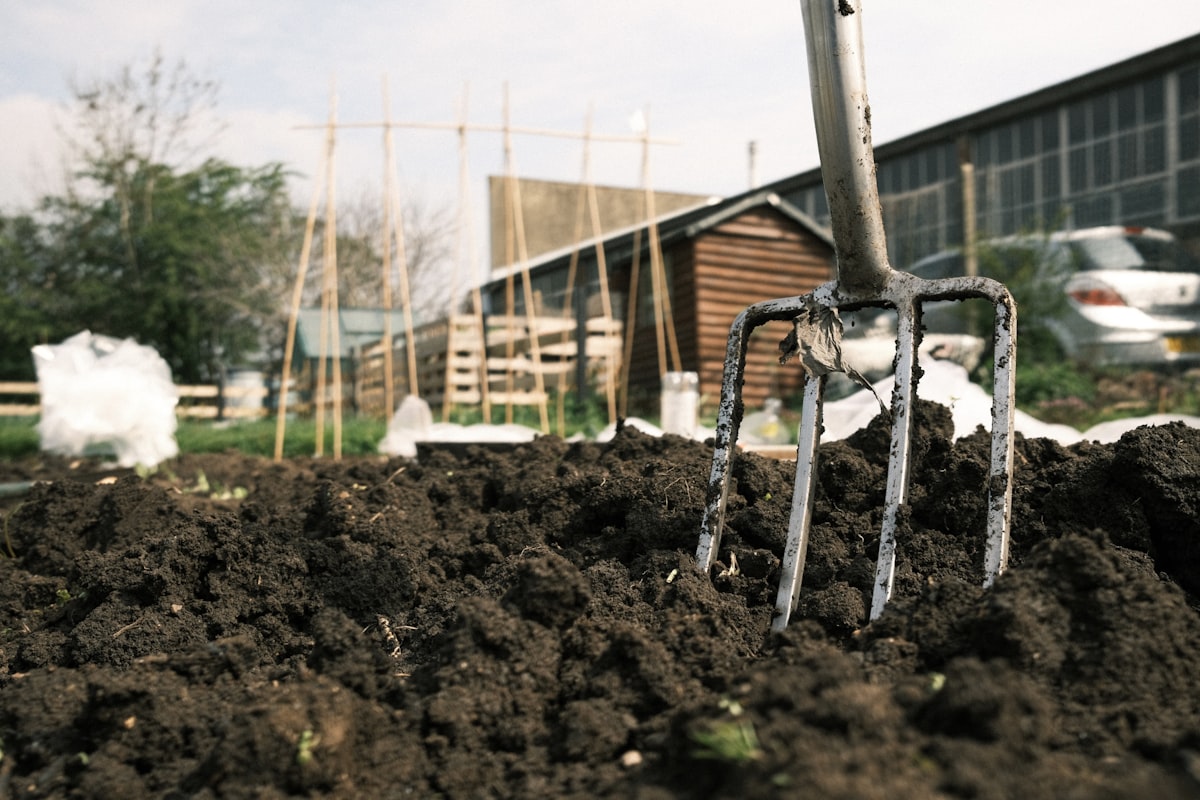 Allotment Garden related to The Ultimate Guide to Choosing the Best Raised Bed Garden Soil