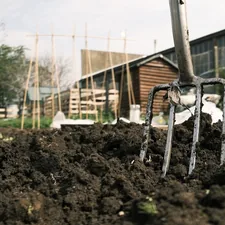 Allotment Garden related to The Ultimate Guide to Choosing the Best Raised Bed Garden Soil