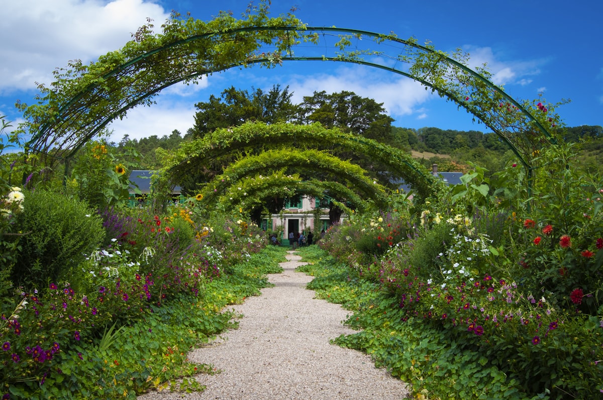 An impressionist dream. related to Elevating Your Garden with Beautiful Flower Bed Borders