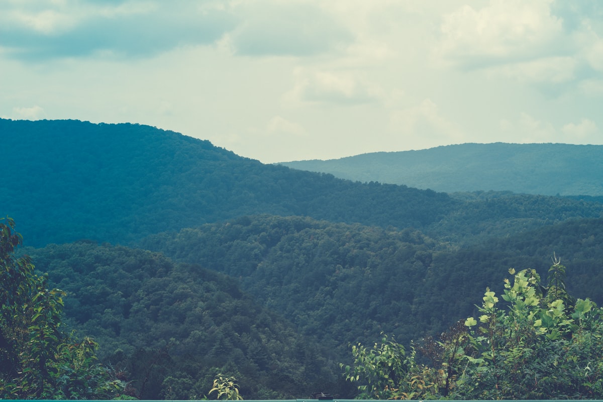 Appalachian Mountains in Spring. related to The Best Bed and Breakfasts in Blue Ridge, GA: A Cozy Escape in the Mountains