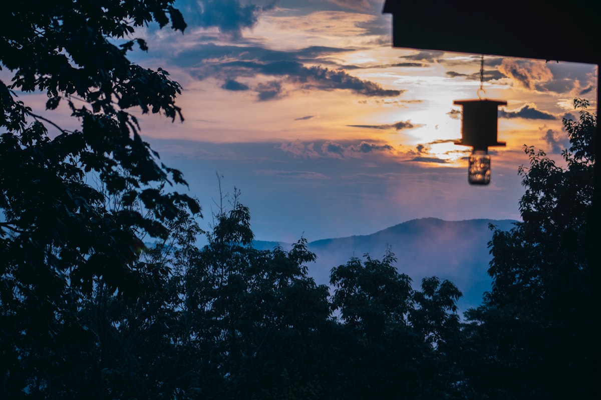 Bee catcher at sunset. related to The Best Bed and Breakfasts in Blue Ridge, GA: A Cozy Escape in the Mountains