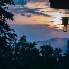 Bee catcher at sunset. related to The Best Bed and Breakfasts in Blue Ridge, GA: A Cozy Escape in the Mountains