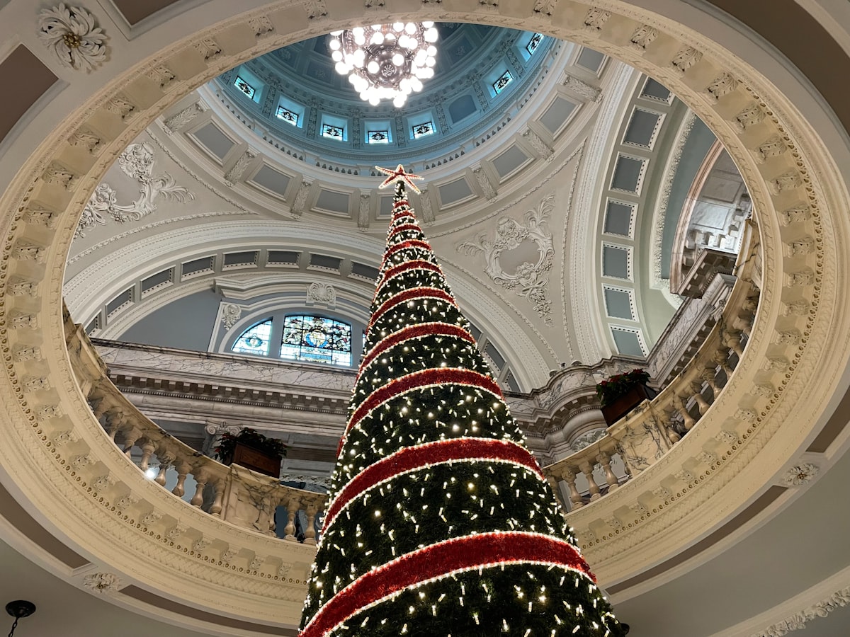 Belfast City hall Christmas related to Welcome Home: Enhancing Your Entryway with a Hall Tree