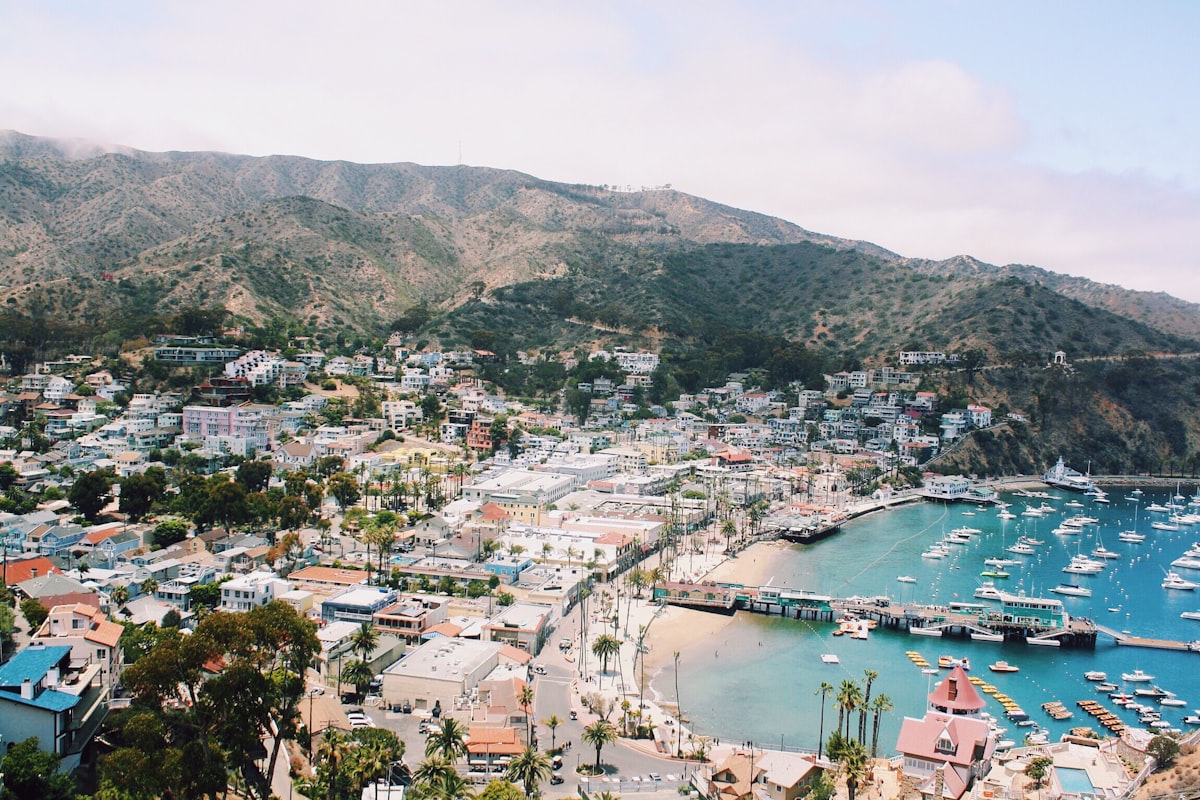 bird's-eye view of marina near mountains related to Discovering Paradise at a Bed and Breakfast on Catalina Island