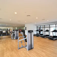 black and gray treadmill related to Find Your Perfect Match: Gyms with Tanning Beds Near You