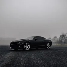 black Dodge Challenger on road during foggy day related to Taking Your 2010 Camaro to the Next Level: The Rear Valance Upgrade
