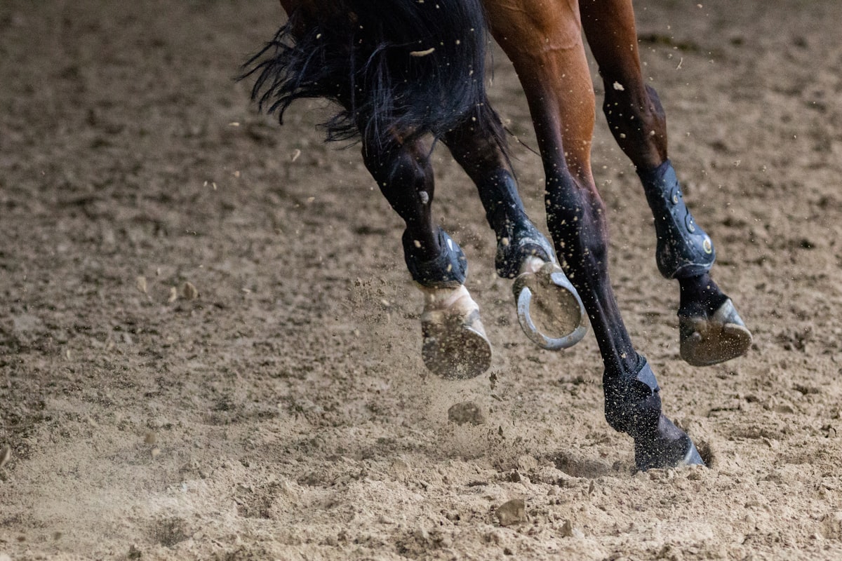 brown horse running on brown field during daytime related to Choosing the Perfect Horse Bedding Sets for Twin Beds