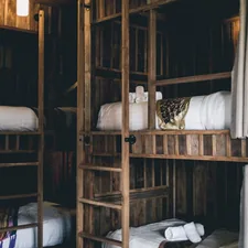 brown wooden bunk beds related to Bunk Beds for Sale