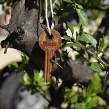 brown wooden key on tree trunk related to Discover the Charm of Cedar Key Bed and Breakfast