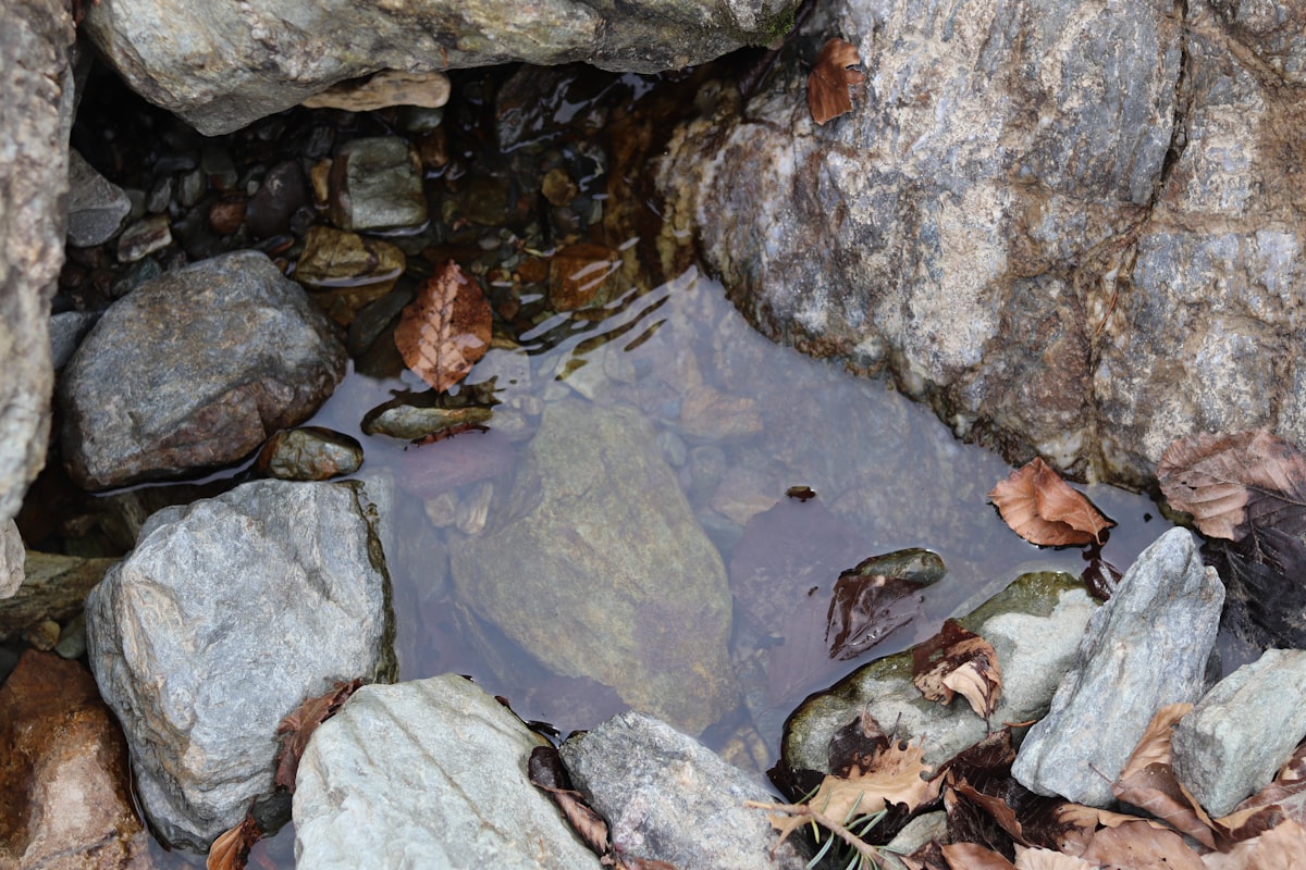 Clear water in a rocky pool with fallen leaves related to The Ultimate Guide to a Bed in the Floor: A Modern Sleep Revolution