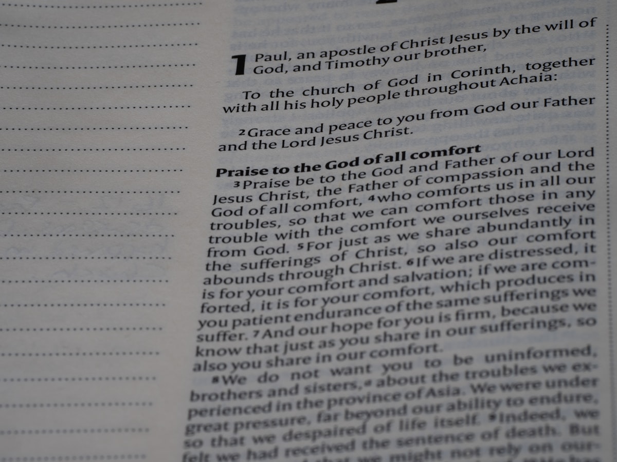 close up, bokeh, bible, new testament, christian, history, text, reading, bible study, devotions, christianity, scripture, epistle, letter, paul, timothy, 1 timothy, youth, church leadership, false teaching, godly life, community, gospel, related to The Effectiveness and Benefits of Harris Bed Bug Powder