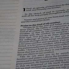 close up, bokeh, bible, new testament, christian, history, text, reading, bible study, devotions, christianity, scripture, epistle, letter, paul, timothy, 1 timothy, youth, church leadership, false teaching, godly life, community, gospel, related to The Effectiveness and Benefits of Harris Bed Bug Powder
