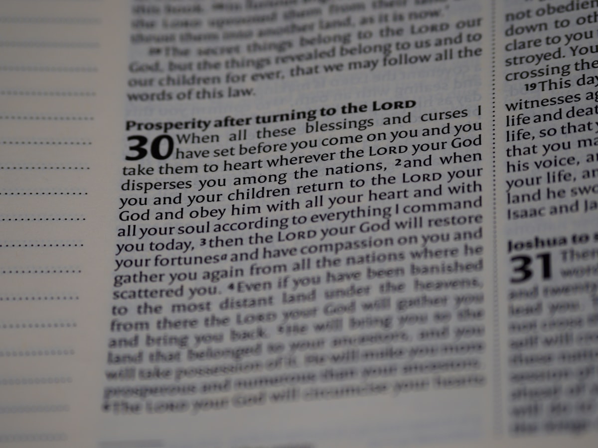 close up, bokeh, macro, blur, blurred background, close focus, bible, old testament, deuteronomy, christian, judaism, history, text, pentateuch, reading, bible study, torah, devotions, text, NIV, New International Version, type, typography, canon, christianity, holy scripture, holy bible, scripture, book of deuteronomy, Devarim, hebrews, דברים, the words of Moses,
 related to Grand Gatherings Ahead: The Ultimate Extra Large Chiminea Experience