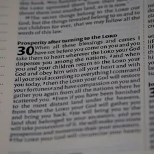 close up, bokeh, macro, blur, blurred background, close focus, bible, old testament, deuteronomy, christian, judaism, history, text, pentateuch, reading, bible study, torah, devotions, text, NIV, New International Version, type, typography, canon, christianity, holy scripture, holy bible, scripture, book of deuteronomy, Devarim, hebrews, דברים, the words of Moses,
 related to Grand Gatherings Ahead: The Ultimate Extra Large Chiminea Experience