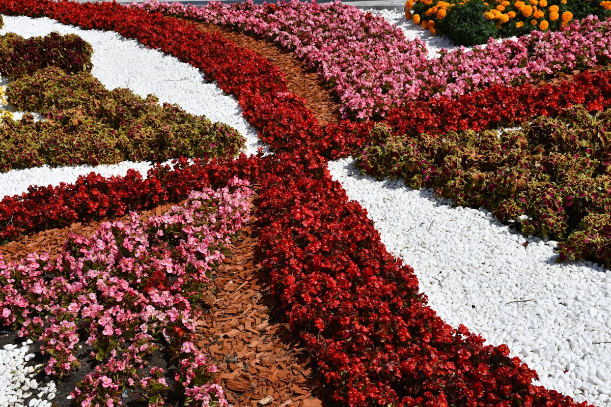 Colorful flower beds arranged in curved patterns related to Elevate Your Garden: Essentials of Raised Garden Bed Design
