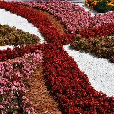 Colorful flower beds arranged in curved patterns related to Elevate Your Garden: Essentials of Raised Garden Bed Design
