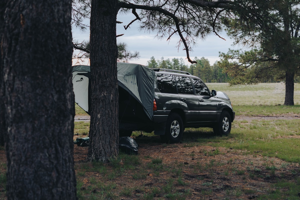 Dark suv and tent camping under trees related to Ultimate Guide to Truck Bed Tents