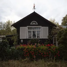 Dark wooden house with white shutters and flowers. related to Embrace the Somber Elegance of Dark Wood Beds