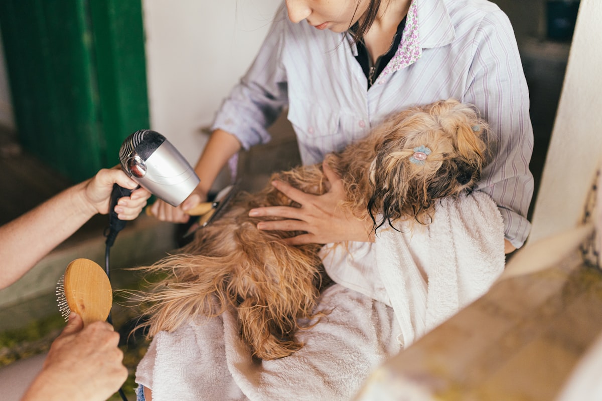 Dog bath related to Pamper Your Pet: The Ultimate Guide to Dog Bed Ramps