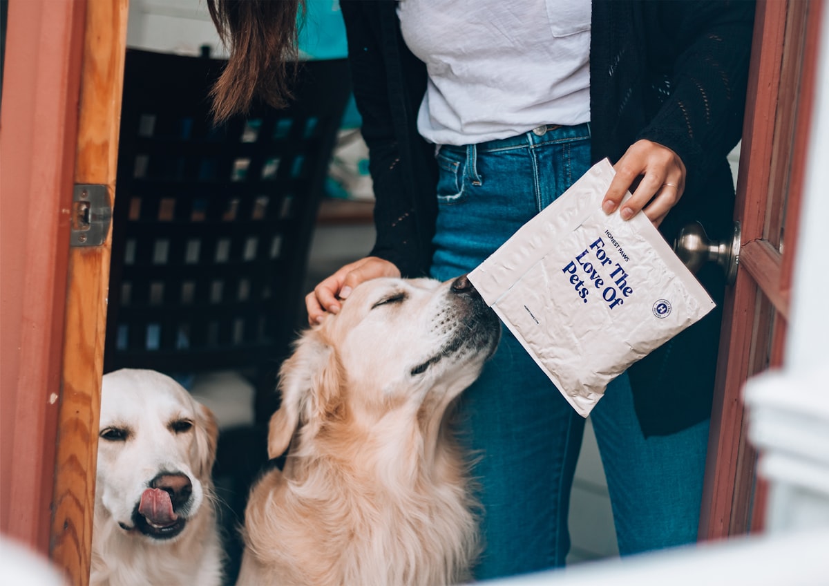 dog opening door for honest paws cbd delivery related to Pamper Your Pet with the Best Sealy Dog Beds