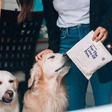 dog opening door for honest paws cbd delivery related to Pamper Your Pet with the Best Sealy Dog Beds