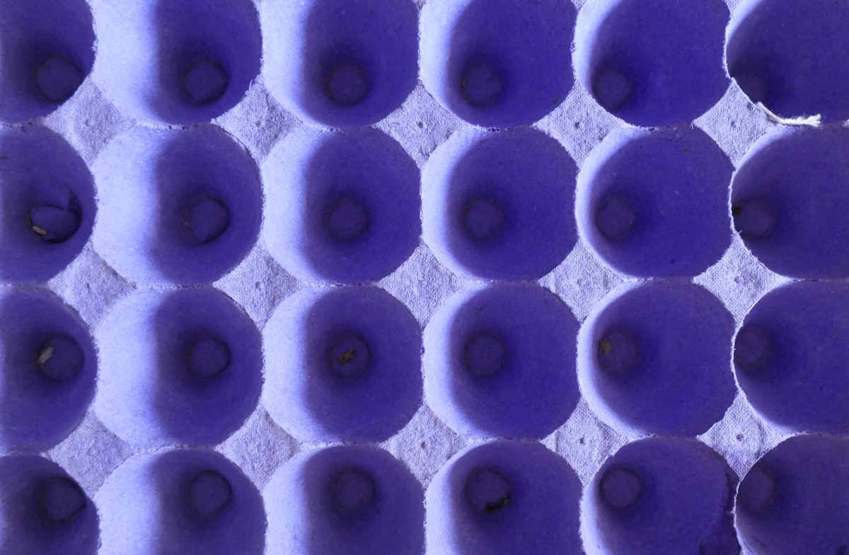 egg box and sunlight related to Understanding Bed Egg Crate Foam and Its Benefits