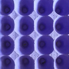 egg box and sunlight related to Understanding Bed Egg Crate Foam and Its Benefits