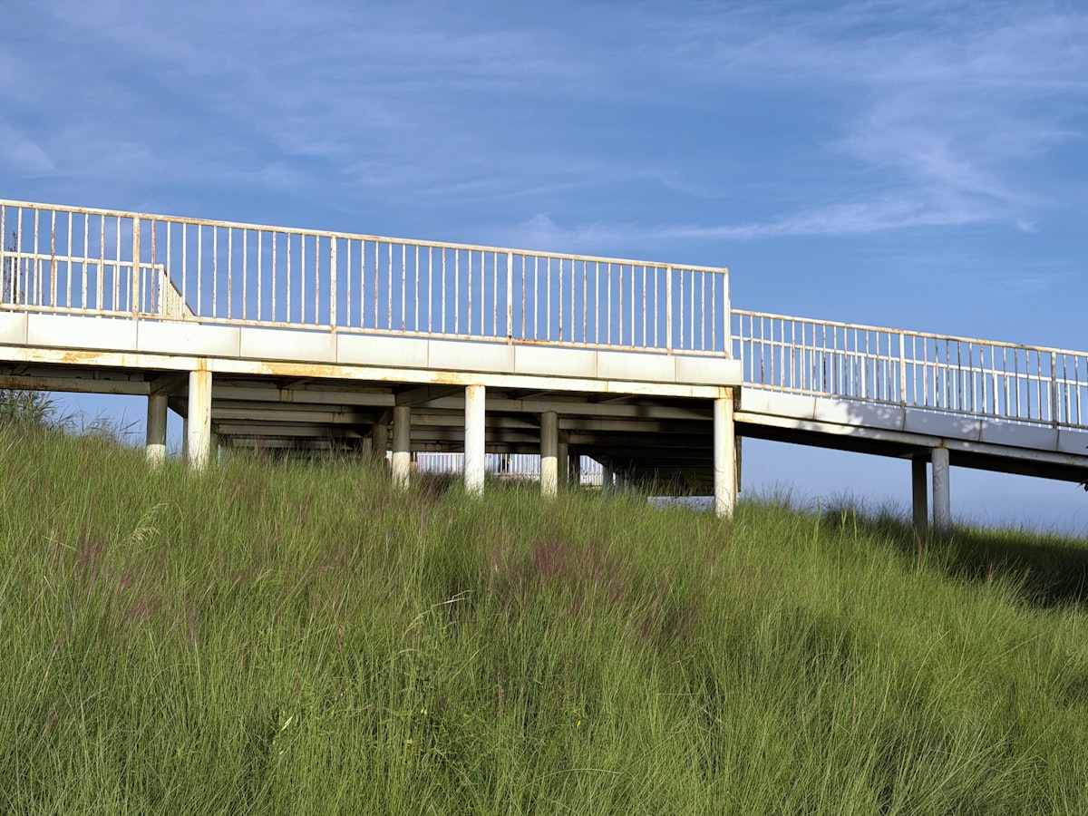 Elevated walkway through grassy hill under blue sky related to Creating Your Own Elevated Garden Bed