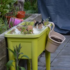 Find a cat related to Effortless Gardening Solutions