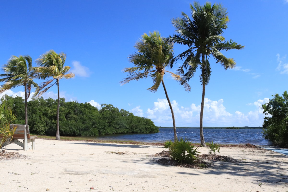 Florida - state park beach related to Charming Stays: The Best Florida Keys Bed and Breakfasts for Your Next Getaway