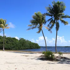 Florida - state park beach related to Charming Stays: The Best Florida Keys Bed and Breakfasts for Your Next Getaway