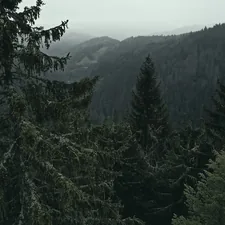 Germany, Black Forest (location next to Freiburg) 

Enjoy the view and this unique nature! related to Discover the Charm of Black Forest Bed and Breakfast