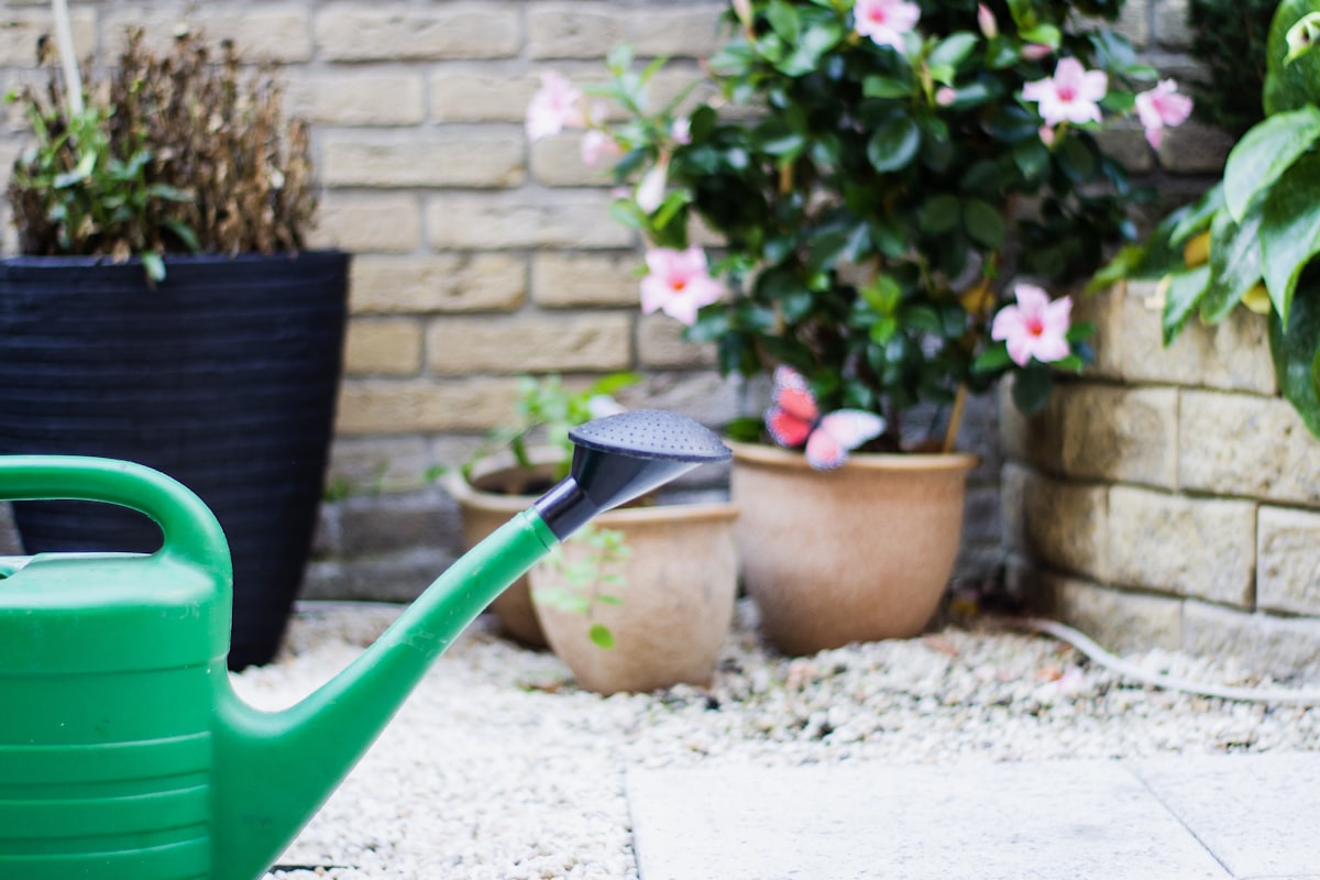 green and black watering can related to Transform Your Garden with the Greenland Gardener Raised Bed Garden Kit