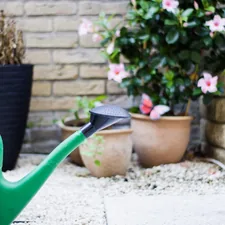 green and black watering can related to Transform Your Garden with the Greenland Gardener Raised Bed Garden Kit