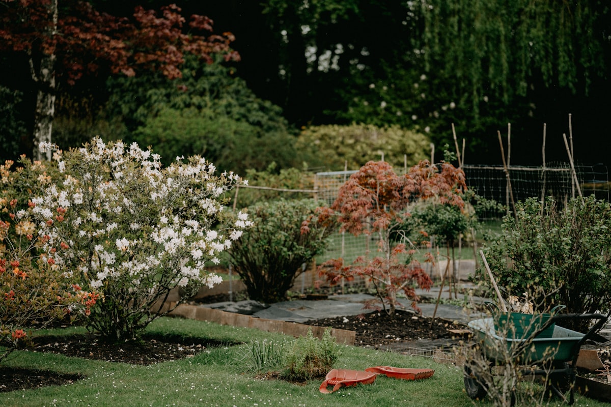 green and yellow plants on garden during daytime related to Enhance Your Garden with Quality Flower Bed Edging