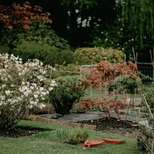 green and yellow plants on garden during daytime related to Enhance Your Garden with Quality Flower Bed Edging
