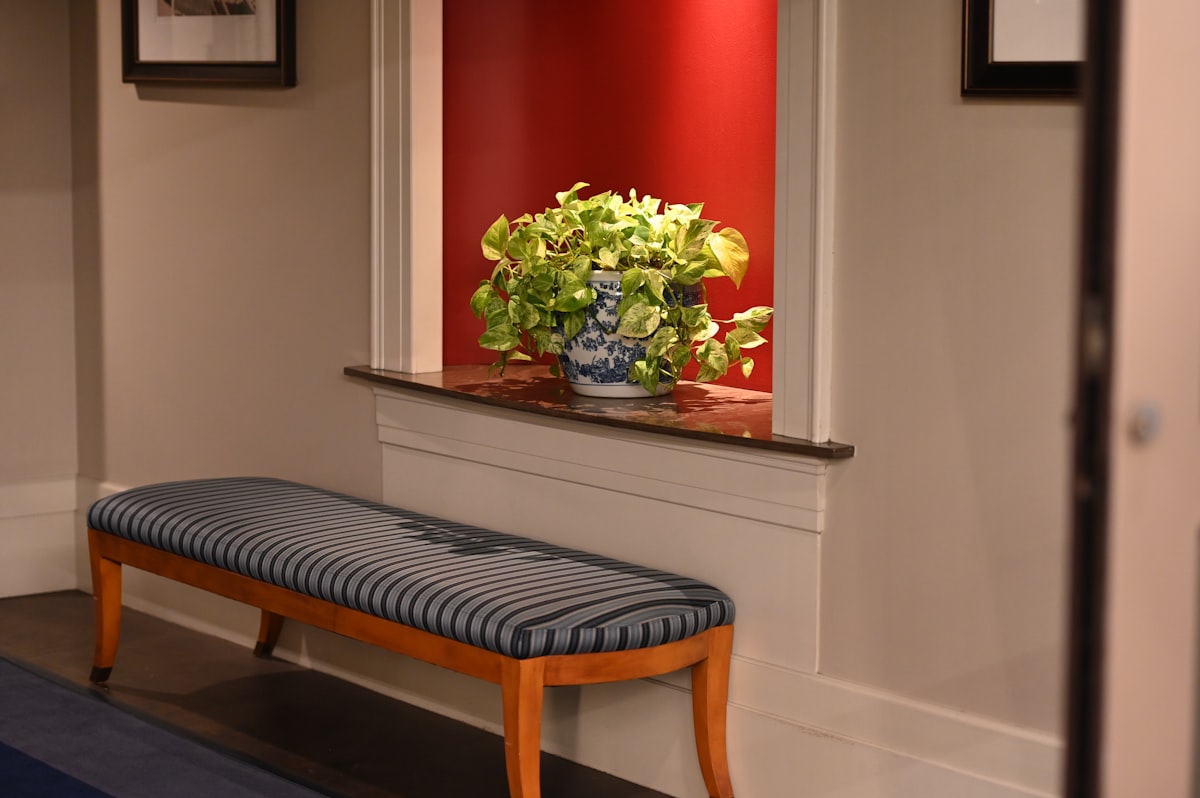 green-leafed plant related to Samantha Entryway Bench: Elevating Your Home's First Impression