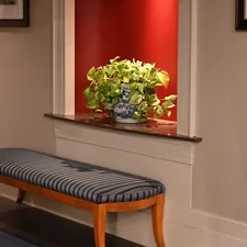 green-leafed plant related to Samantha Entryway Bench: Elevating Your Home's First Impression
