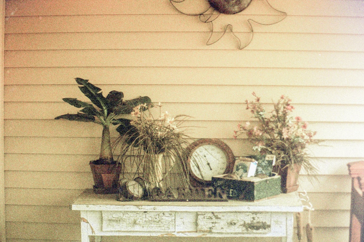 green plant on brown clay pot related to Elevate Your Home's Entrance with a Stylish Metal Entryway Table