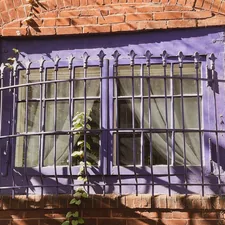 green plants on white window frame related to Lavender Valance Curtains