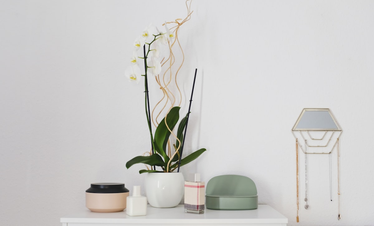 green potted plant on table related to Elevate Your Home Decor with the Trendy Swag Valance Pattern