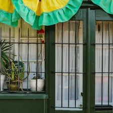 Green window with plants and ruffled fabric related to Butterfly Valance Curtains for a Delicate Touch