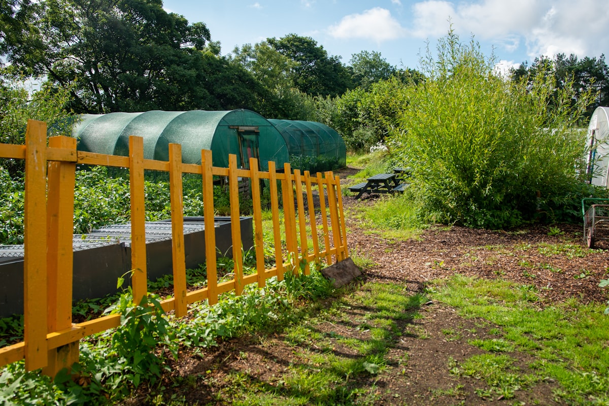 Greenhouses and garden with yellow fence in sunlight related to Elevate Your Gardening Experience: Pictures of Raised Garden Beds