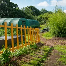 Greenhouses and garden with yellow fence in sunlight related to Elevate Your Gardening Experience: Pictures of Raised Garden Beds