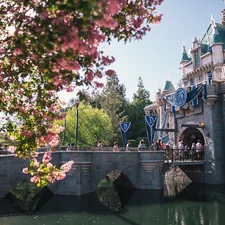 Happiest place on Earth! related to Dreaming of Disney: Adding Magical Touch to Your Nursery