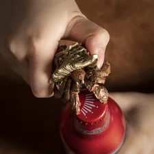 Hermit Crab Bottle Opener related to The Unseen Connection: Alcohol and Bed Bugs