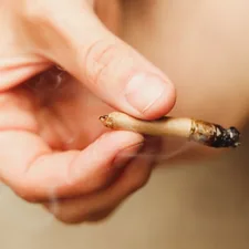 Holding a joint related to The Surprising Truth: Can You Smoke Bed Bugs?