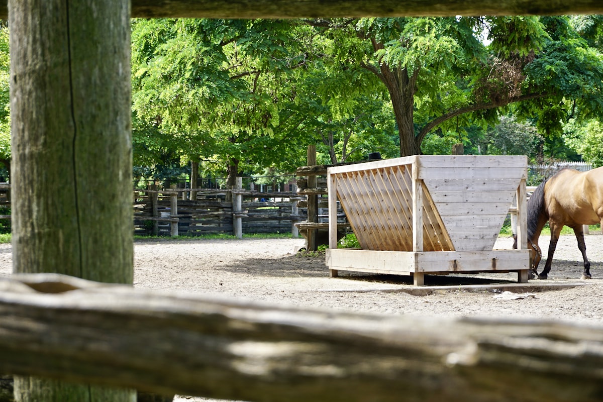 Horse.  related to Elevate Your Equine Aesthetic: The Ultimate Guide to Horse Bed Sets