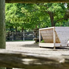 Horse.  related to Elevate Your Equine Aesthetic: The Ultimate Guide to Horse Bed Sets